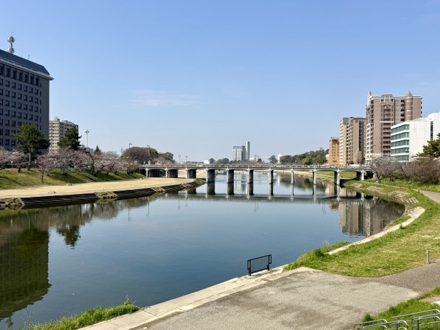 愛知県岡崎市　春の乙川周辺