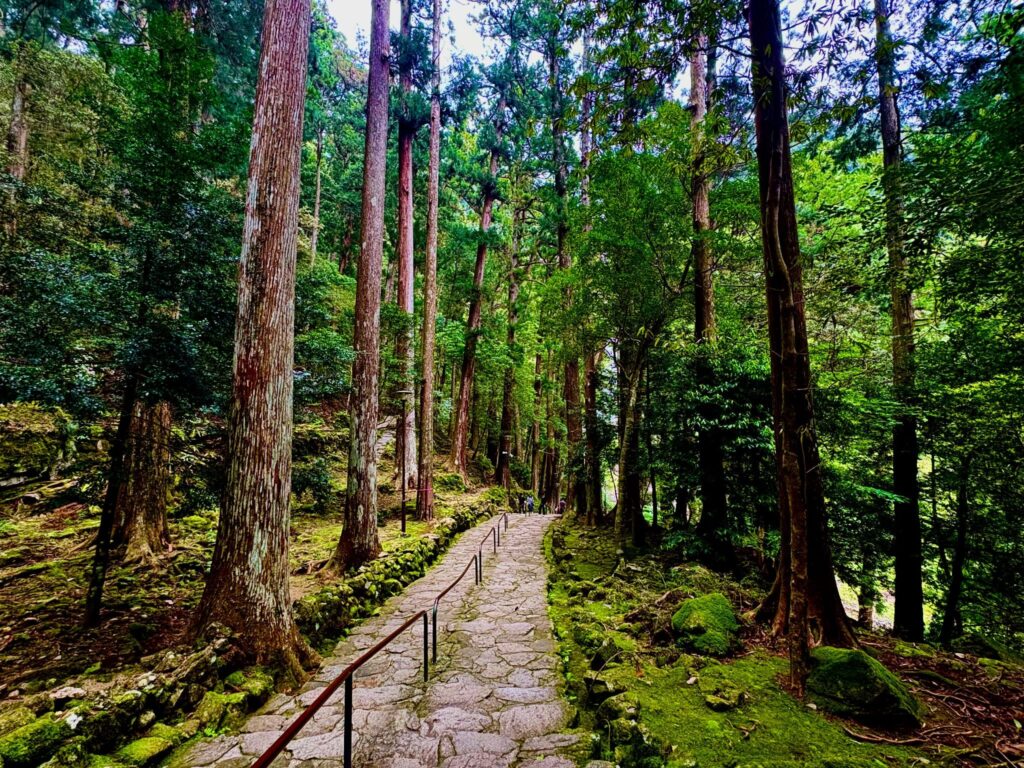 世界遺産　熊野古道